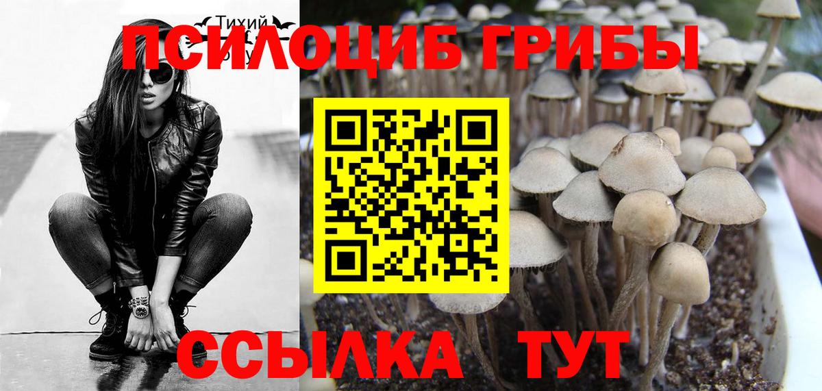 Сыктывкар  Псилоцибиновые грибы MAGIC MUSHROOMS  Галлюциногенные грибы Psilocybe  Вход с VPN 